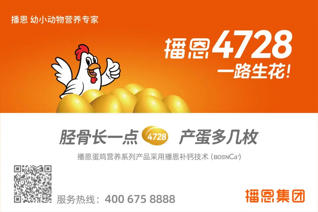 富硒鸡蛋是什么蛋（富硒鸡蛋比普通鸡蛋好吗）-硒宝网