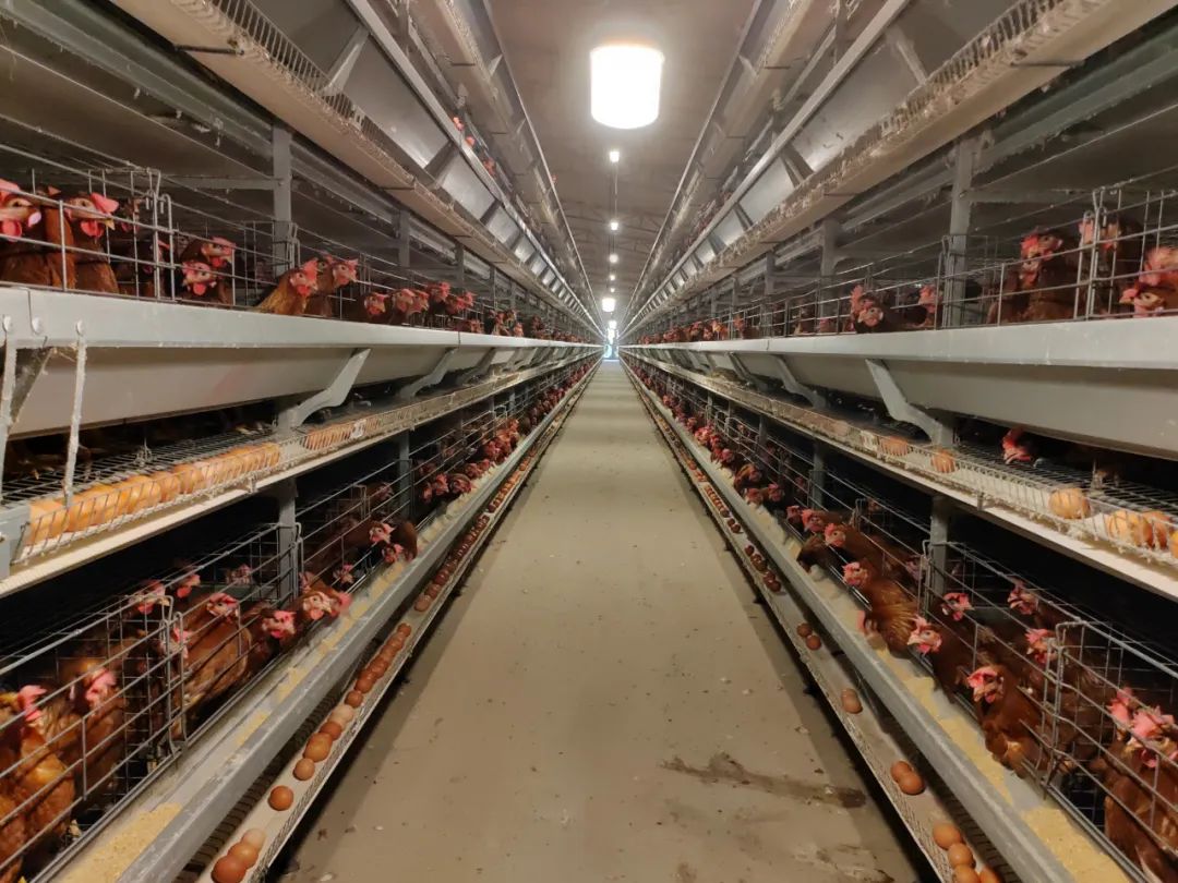 江西富硒大米产地（江西富硒大米基地）-硒宝网