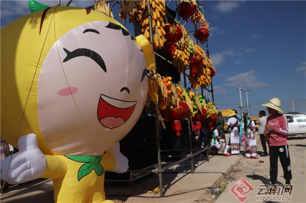 富硒果有哪些（水果富硒）-硒宝网