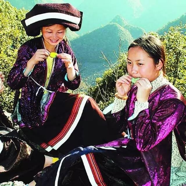 开阳富硒枇杷(开阳枇杷价格)-硒宝网