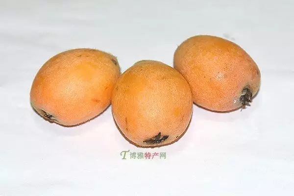 开阳富硒枇杷(开阳枇杷价格)-硒宝网