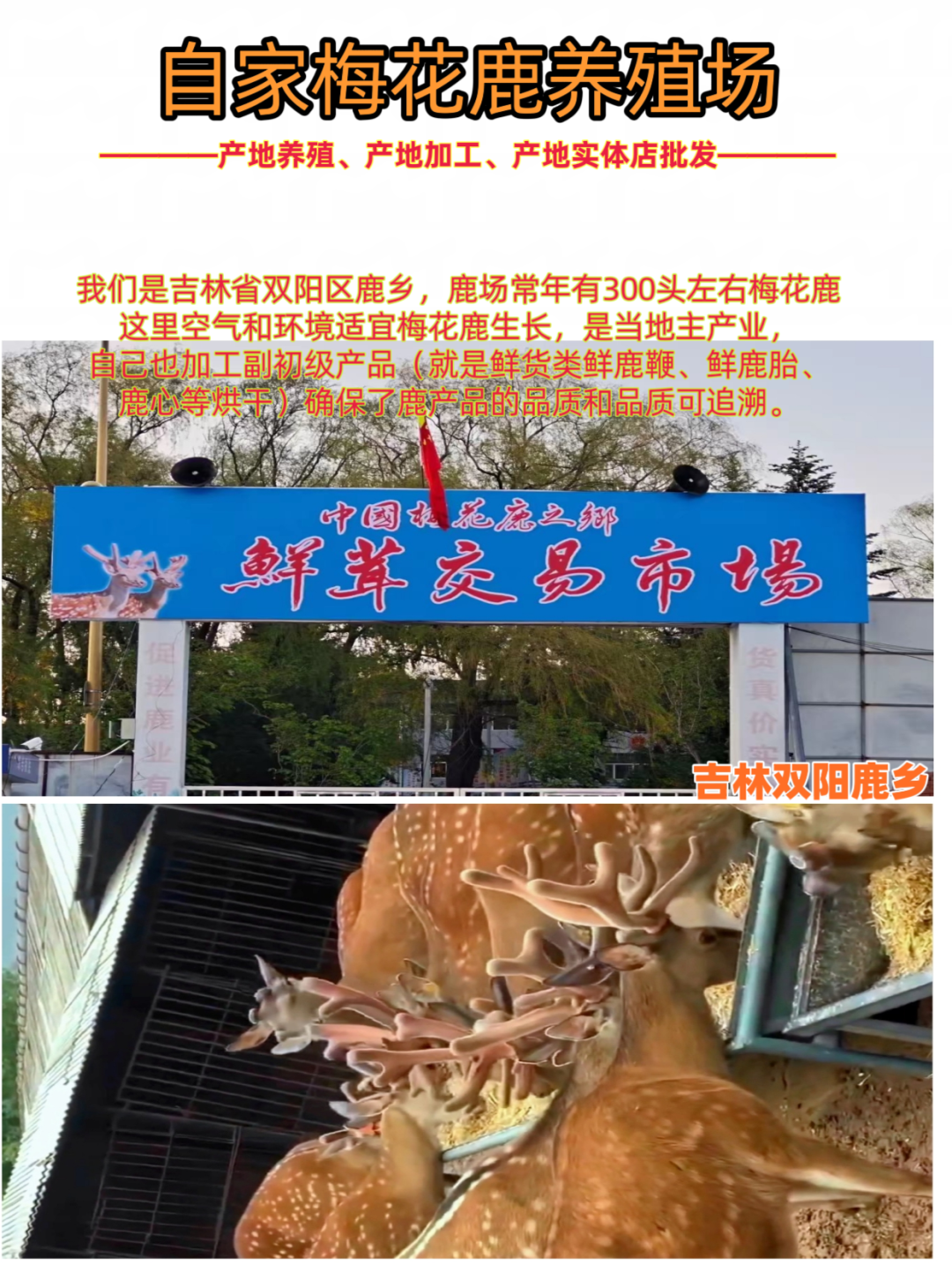 硒的价格是多少钱一斤（硒值钱吗）-硒宝网