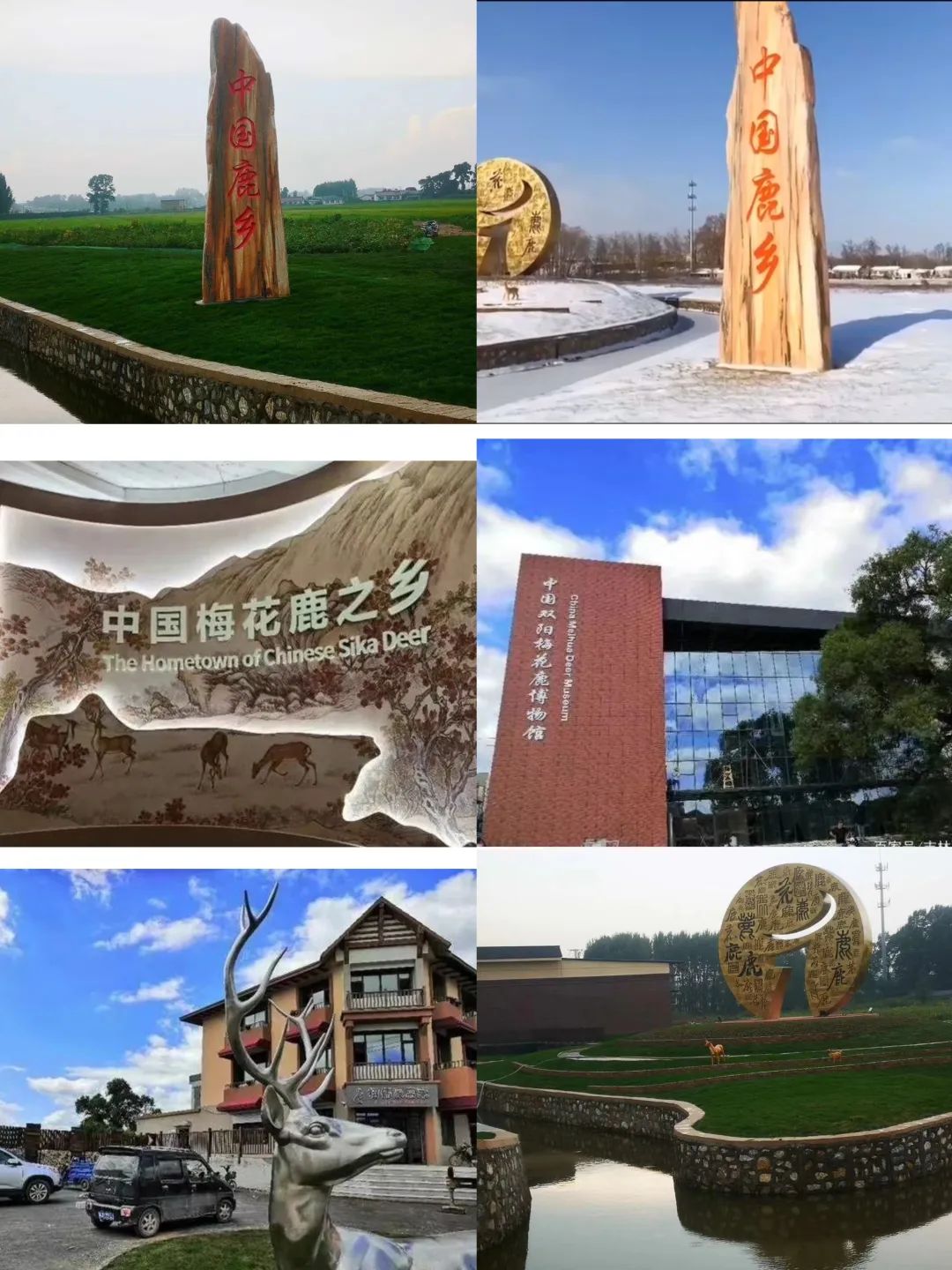 硒的价格是多少钱一斤（硒值钱吗）-硒宝网