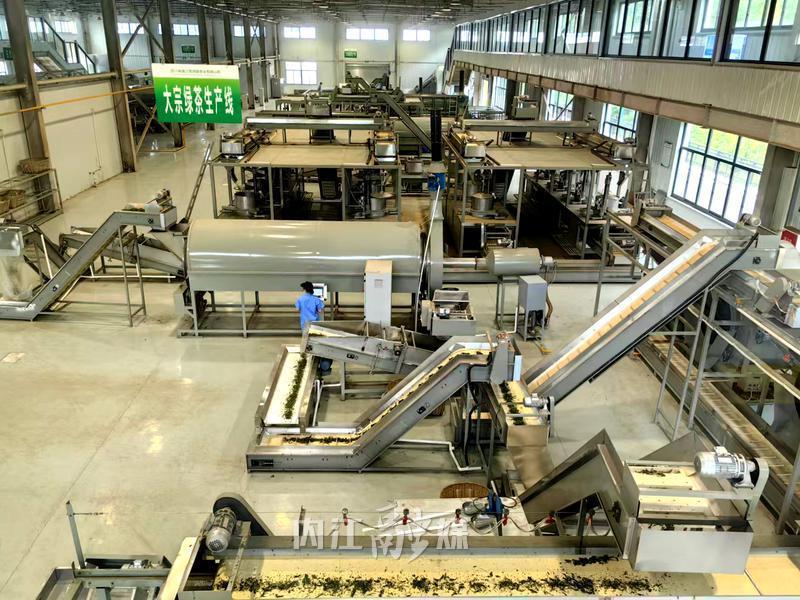 高山富硒茶多少钱一斤(高山富硒红茶)-硒宝网