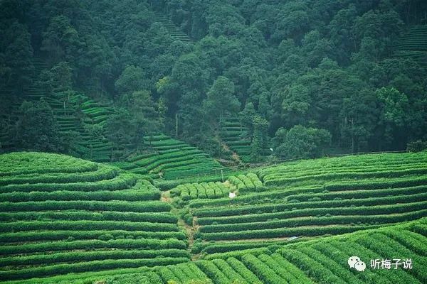 硒的价格是多少钱一斤(硒的市场价格是多少)-硒宝网