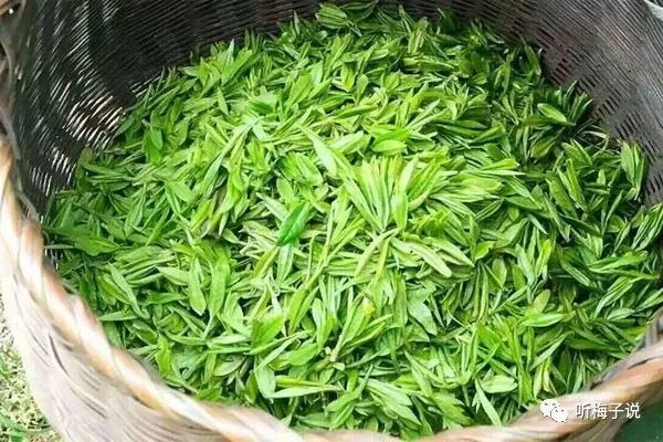 硒的价格是多少钱一斤(硒的市场价格是多少)-硒宝网