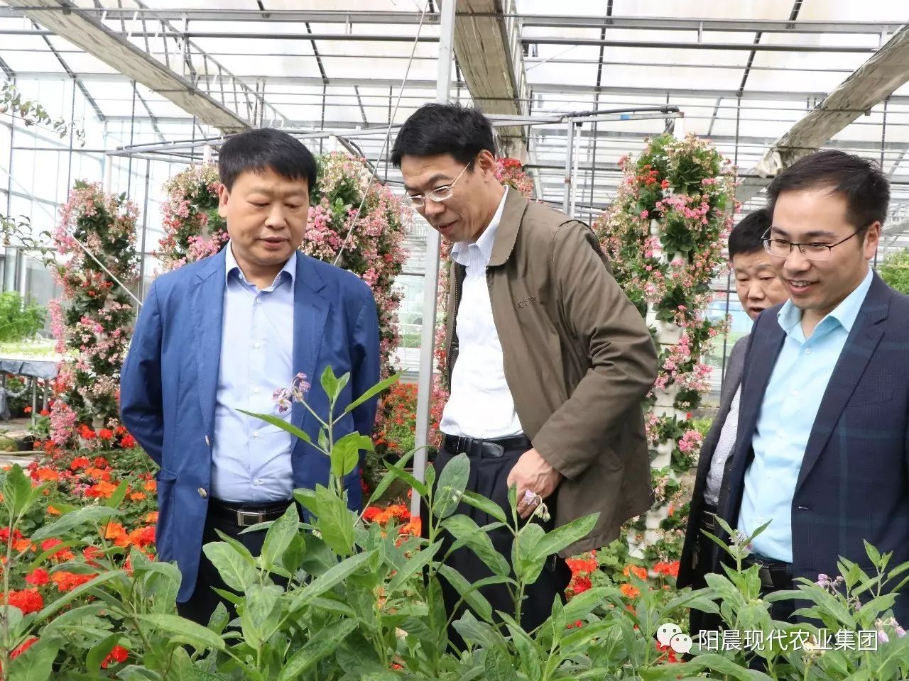 恩施富硒产品介绍(恩施富硒介绍产品有哪些)-硒宝网