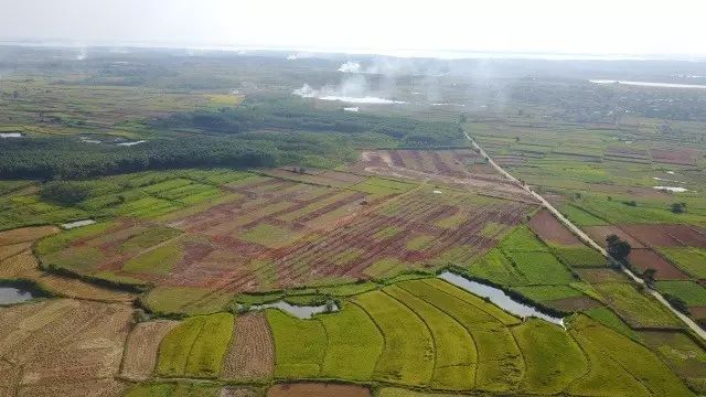 钟陵乡富硒产业园(富硒小镇)-硒宝网