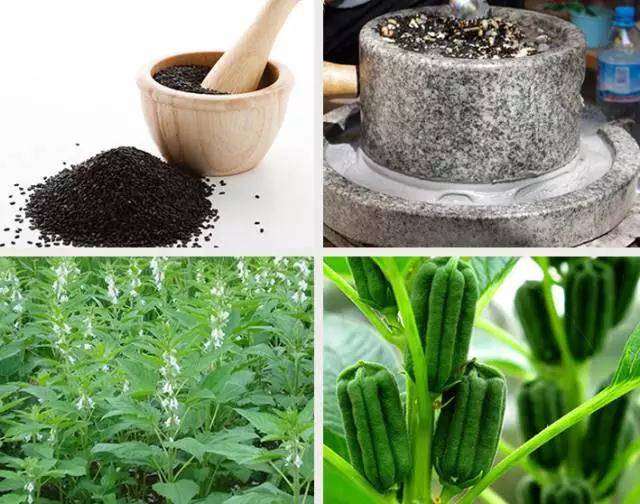 钟陵乡富硒产业园(富硒小镇)-硒宝网