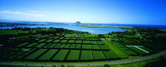 钟陵乡富硒产业园(富硒小镇)-硒宝网