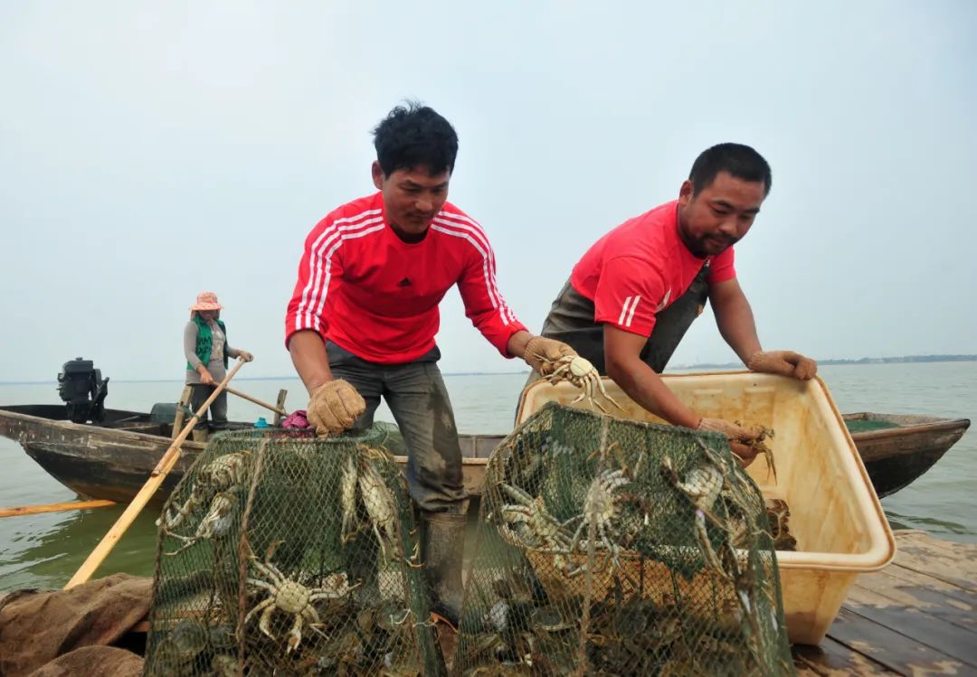 钟陵乡富硒产业园(钟陵富硒最新消息)-硒宝网