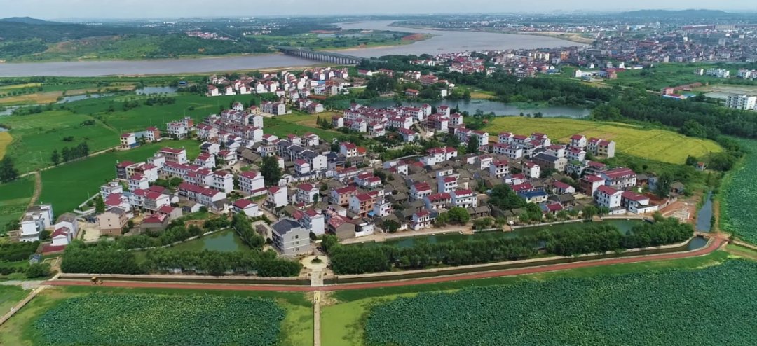 钟陵乡富硒产业园(钟陵富硒最新消息)-硒宝网