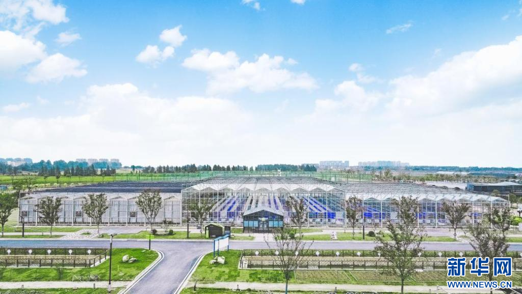 钟陵乡富硒产业园（进贤县钟陵乡富硒小镇）-硒宝网