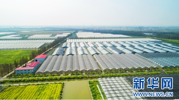 钟陵乡富硒产业园（进贤县钟陵乡富硒小镇）-硒宝网