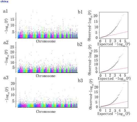 富硒食品标准(食品标准富硒是什么)-硒宝网