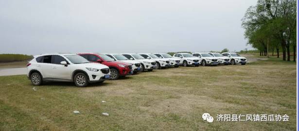 济阳仁风富硒西瓜简介(西瓜仁有什么功效)-硒宝网