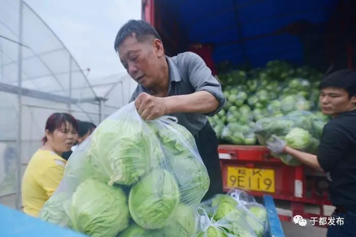 富硒的蔬菜有哪些（富硒蔬菜是什么）-硒宝网