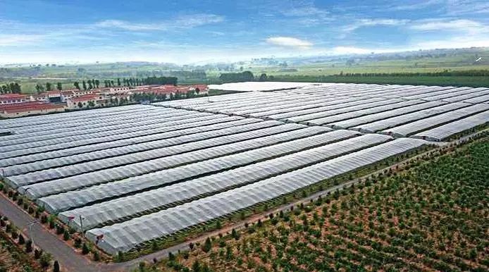 福建富硒地区(福建硒含量)-硒宝网