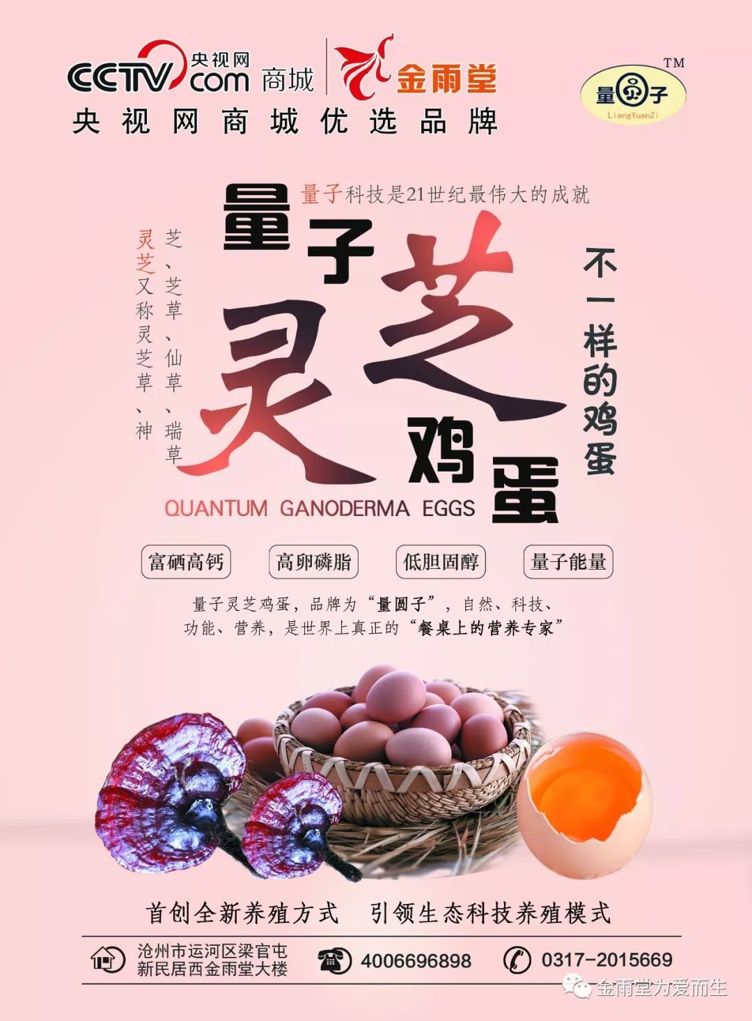 富硒鸡蛋功效和作用（鸡蛋富硒）-硒宝网