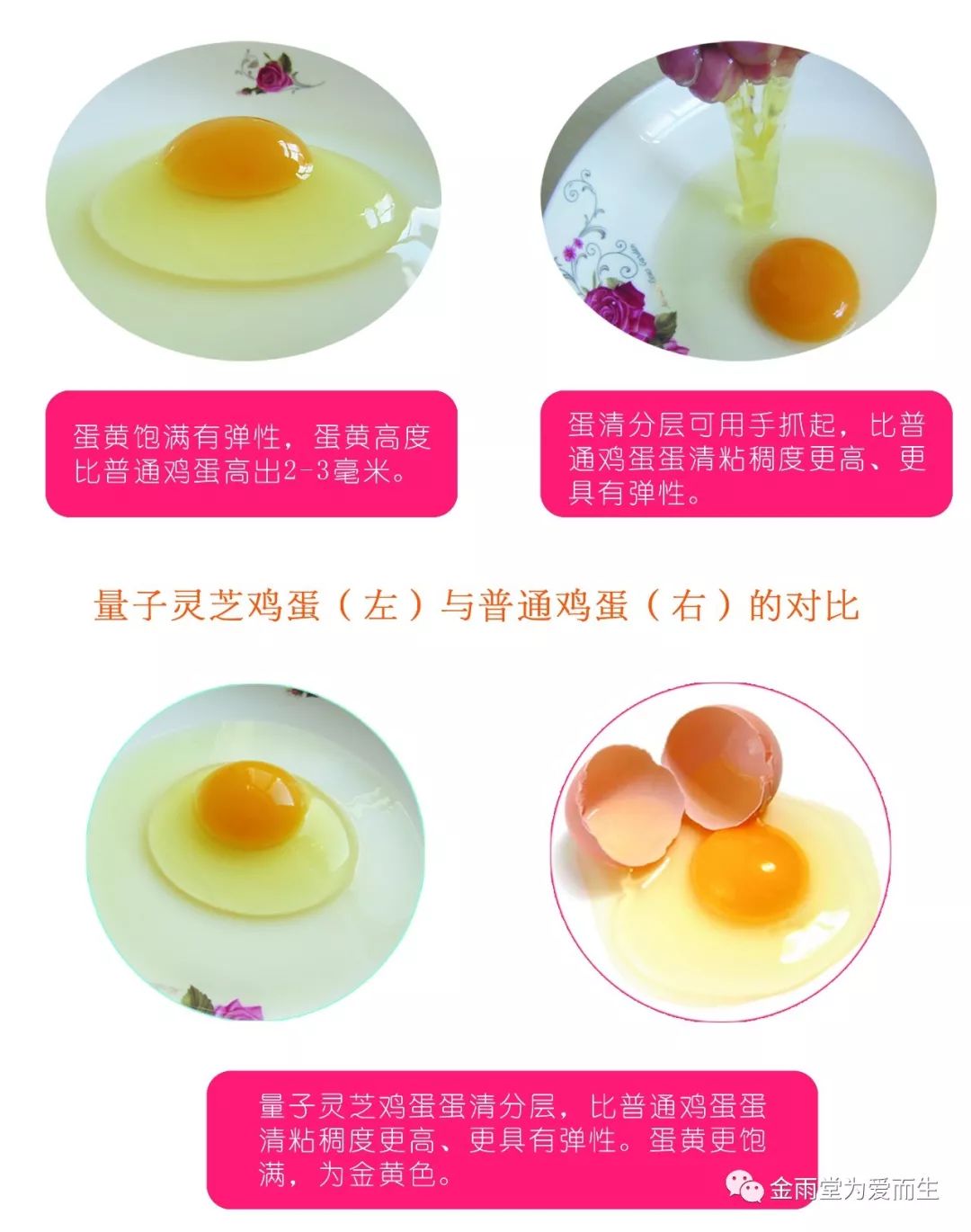 富硒鸡蛋功效和作用（鸡蛋富硒）-硒宝网