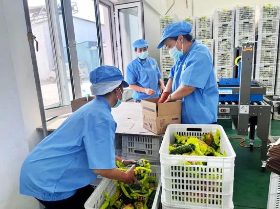 富硒玉米好吗（富硒玉米和普通玉米营养一样吗）-硒宝网