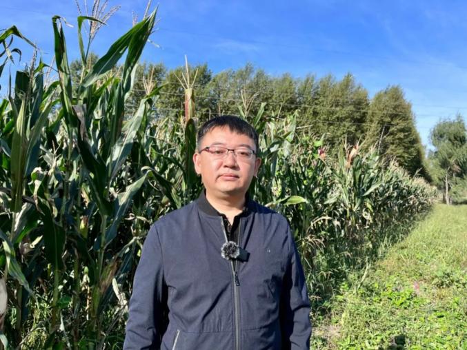 富硒玉米好吗（富硒玉米和普通玉米营养一样吗）-硒宝网