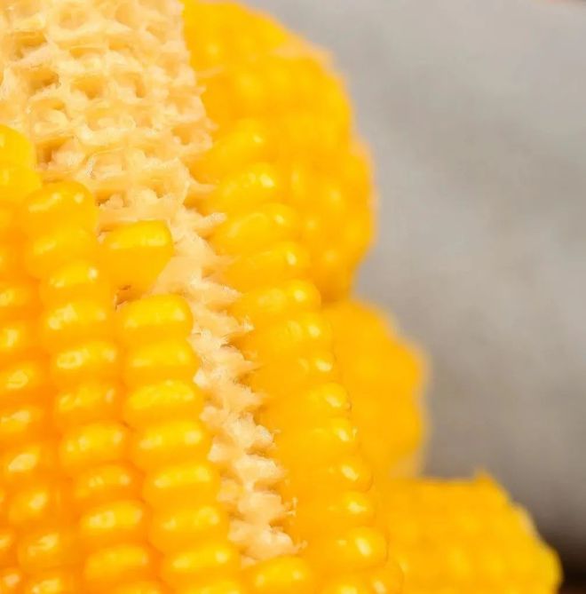 富硒玉米好吗（富硒玉米真有这么神奇吗）-硒宝网