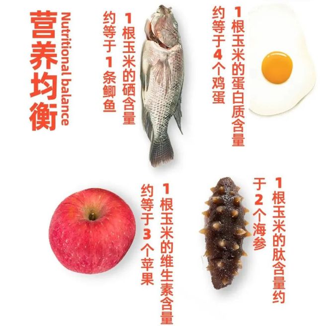 富硒玉米好吗（富硒玉米真有这么神奇吗）-硒宝网