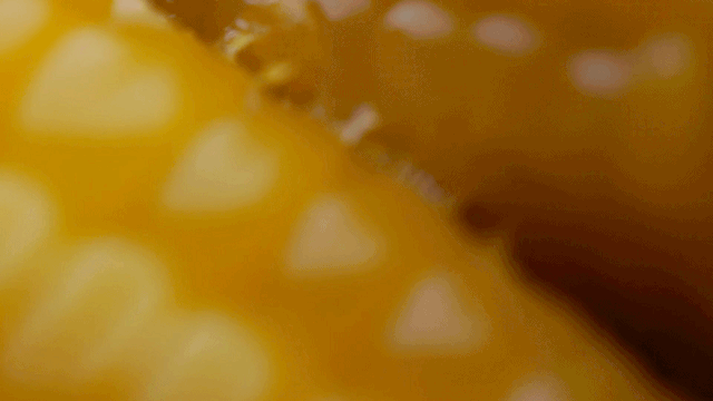 富硒玉米好吗（富硒玉米真有这么神奇吗）-硒宝网