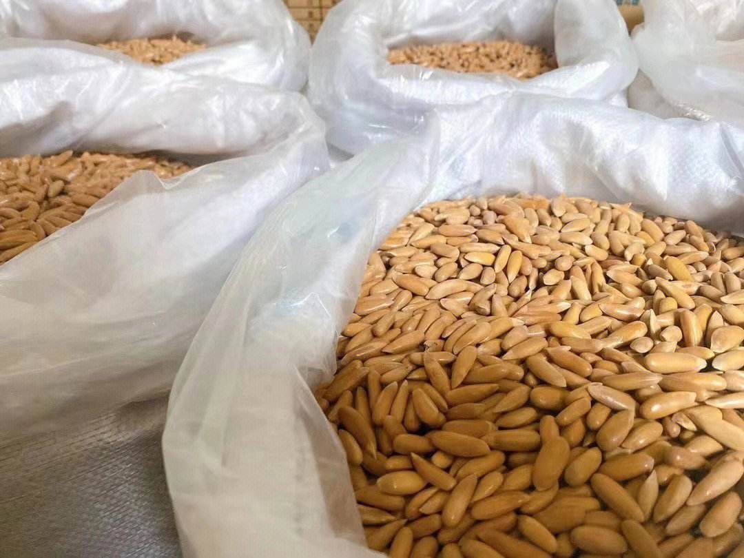 每天吃多少硒(每天吃硒200微克行吗)-硒宝网