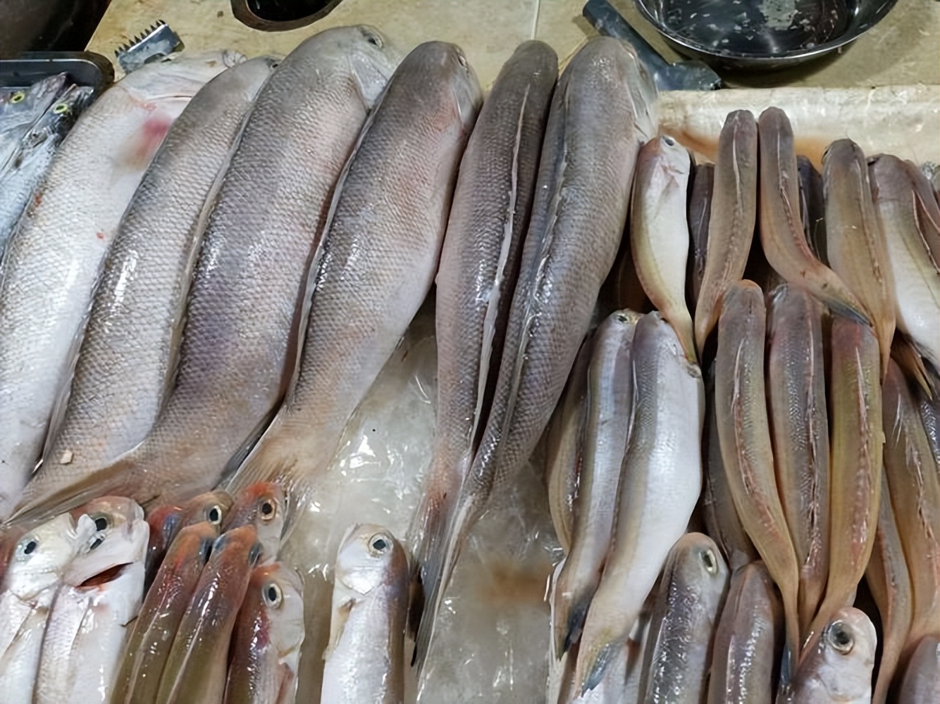 每天吃多少硒(每天吃硒200微克行吗)-硒宝网