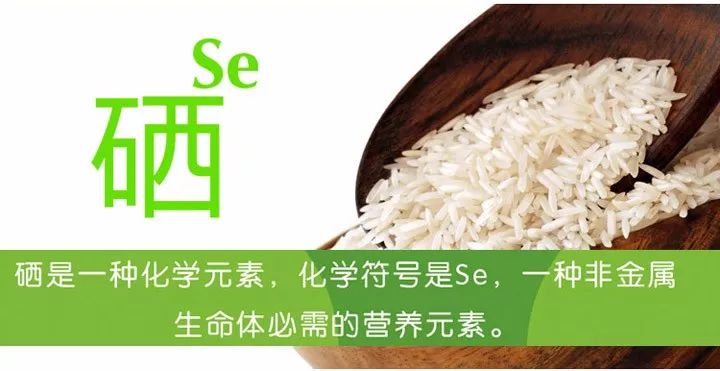 长期补硒有什么好处（长期补硒有什么副作用）-硒宝网