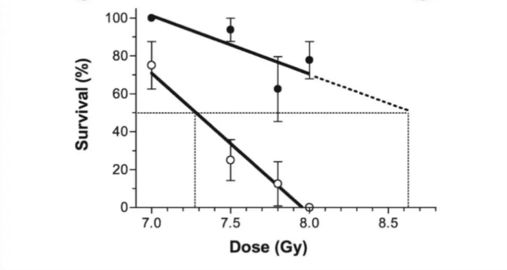 补硒的食物有哪些(补充硒食物)-硒宝网