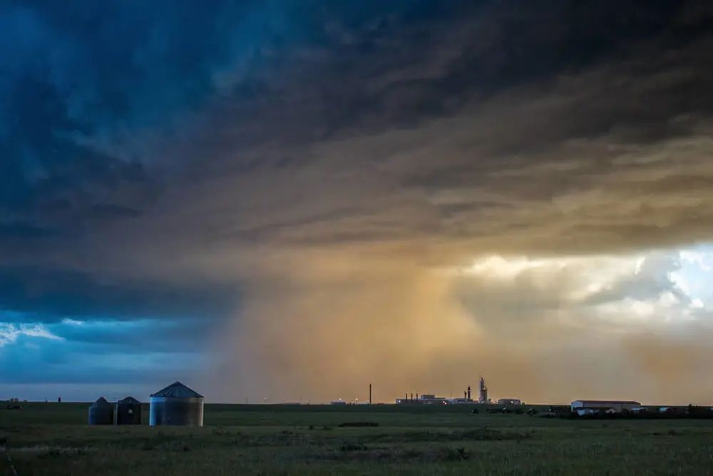 补硒的食物有哪些(补充硒食物)-硒宝网