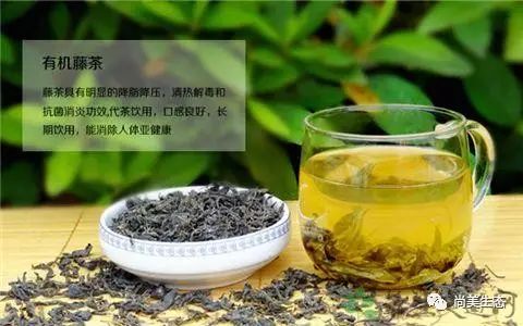 藤茶有什么功效(藤茶的药性)-硒宝网