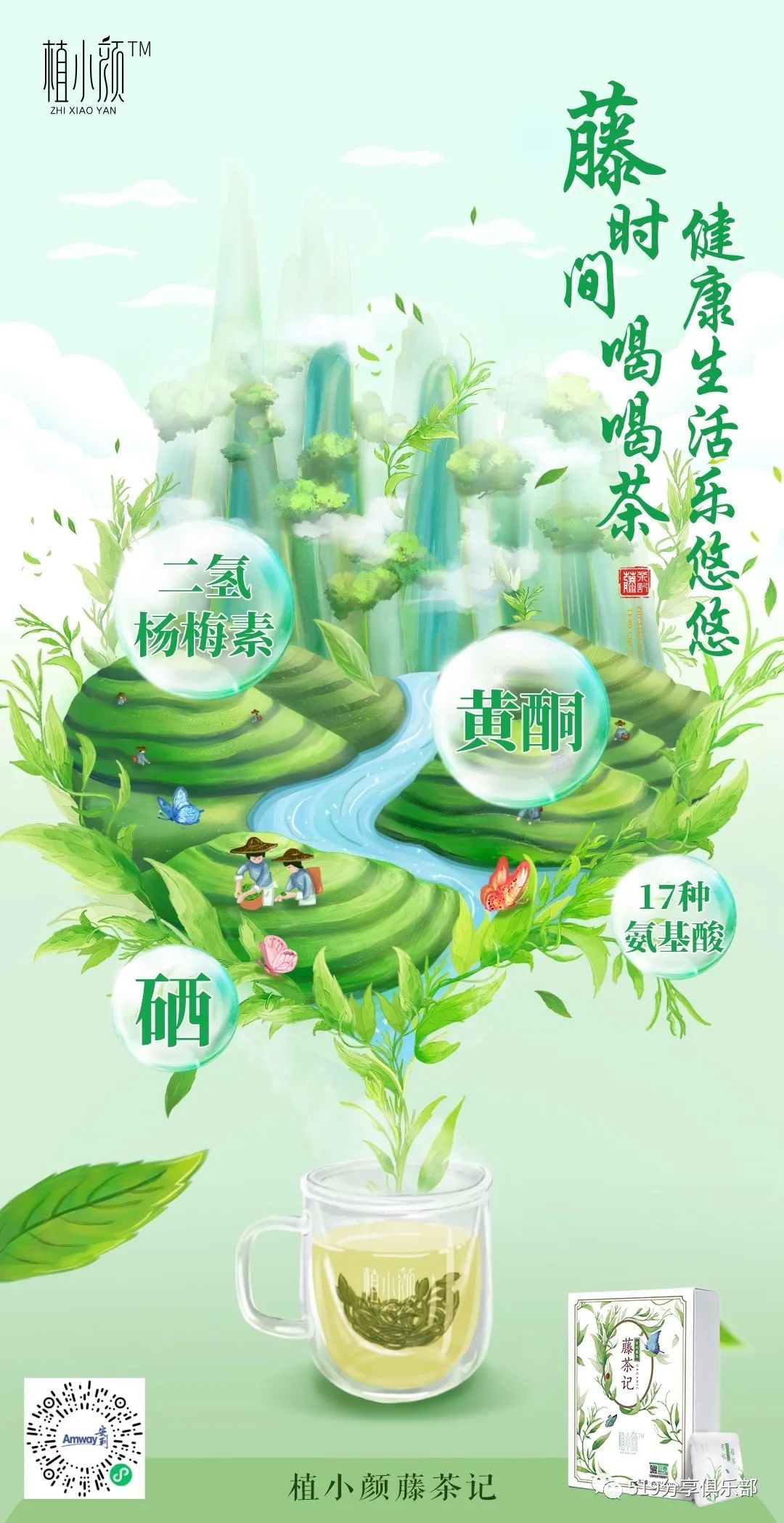 藤茶有什么功效（藤茶药用价值）-硒宝网