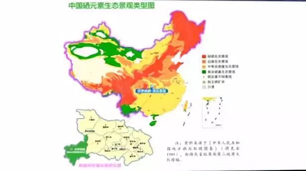 全民补硒刻不容缓(全民补硒日是谁规定的)-硒宝网