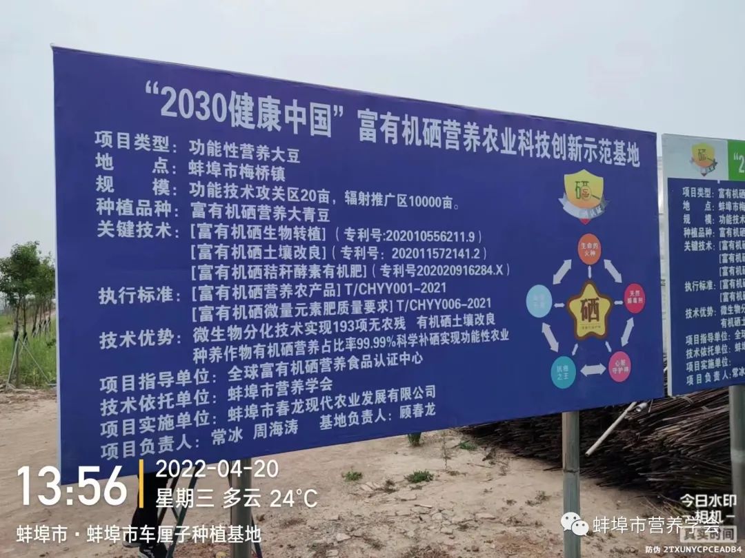 全民补硒刻不容缓(全民补硒刻不容缓是谁提出的)-硒宝网