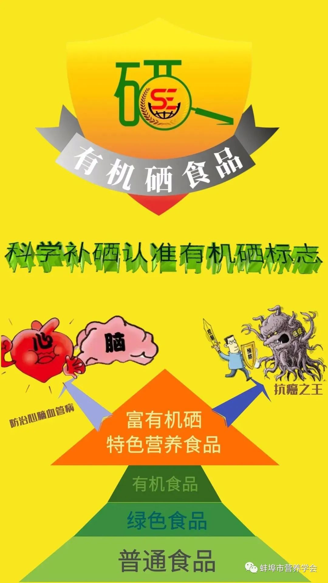 全民补硒刻不容缓(全民补硒刻不容缓是谁提出的)-硒宝网