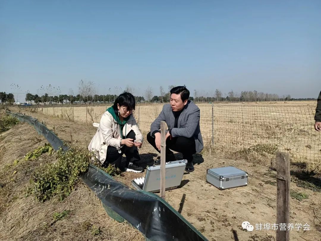 全民补硒刻不容缓(全民补硒刻不容缓是谁提出的)-硒宝网