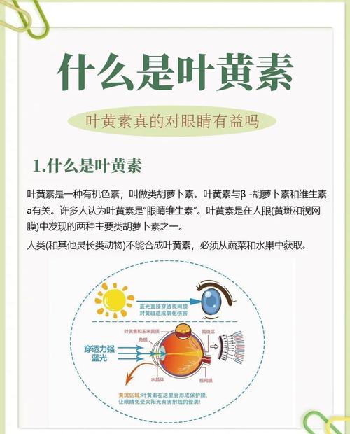 硒对眼睛的作用是补充黄斑吗(硒与黄斑变性)-硒宝网