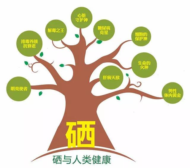 人体每天补硒多少微克（微量元素硒一天补充多少）-硒宝网