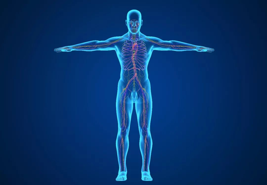 补硒对甲亢有好处吗（补硒甲亢）-硒宝网