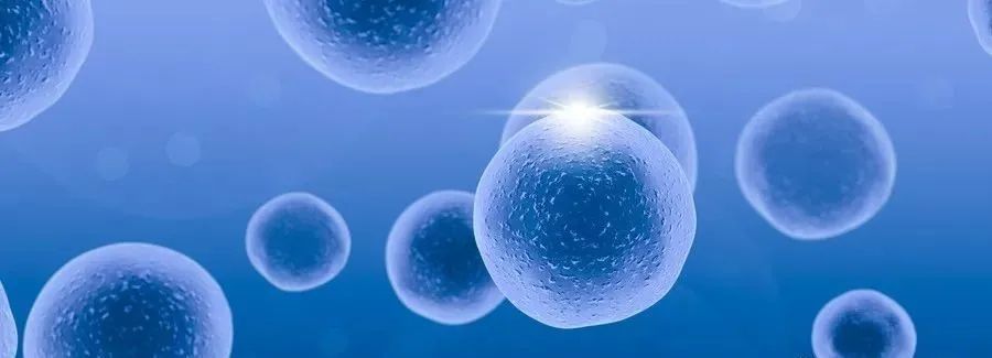 补硒对甲亢有好处吗（补硒甲亢）-硒宝网