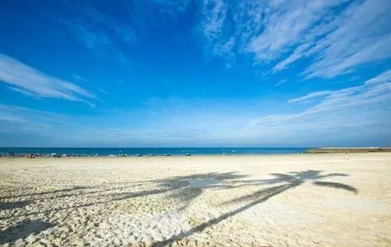 补硒十大品牌排行榜(硒片补硒哪个品牌最好价格多少)-硒宝网