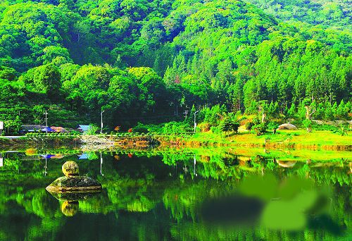 补硒十大品牌排行榜(硒片补硒哪个品牌最好价格多少)-硒宝网