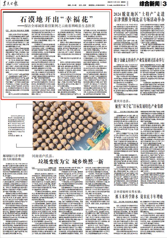 藤茶有什么好处（藤茶的坏处）-硒宝网