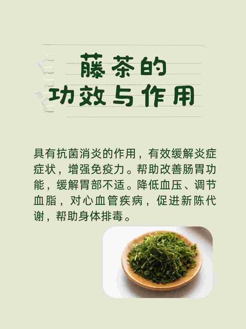 藤茶有什么好处（藤茶的坏处）-硒宝网