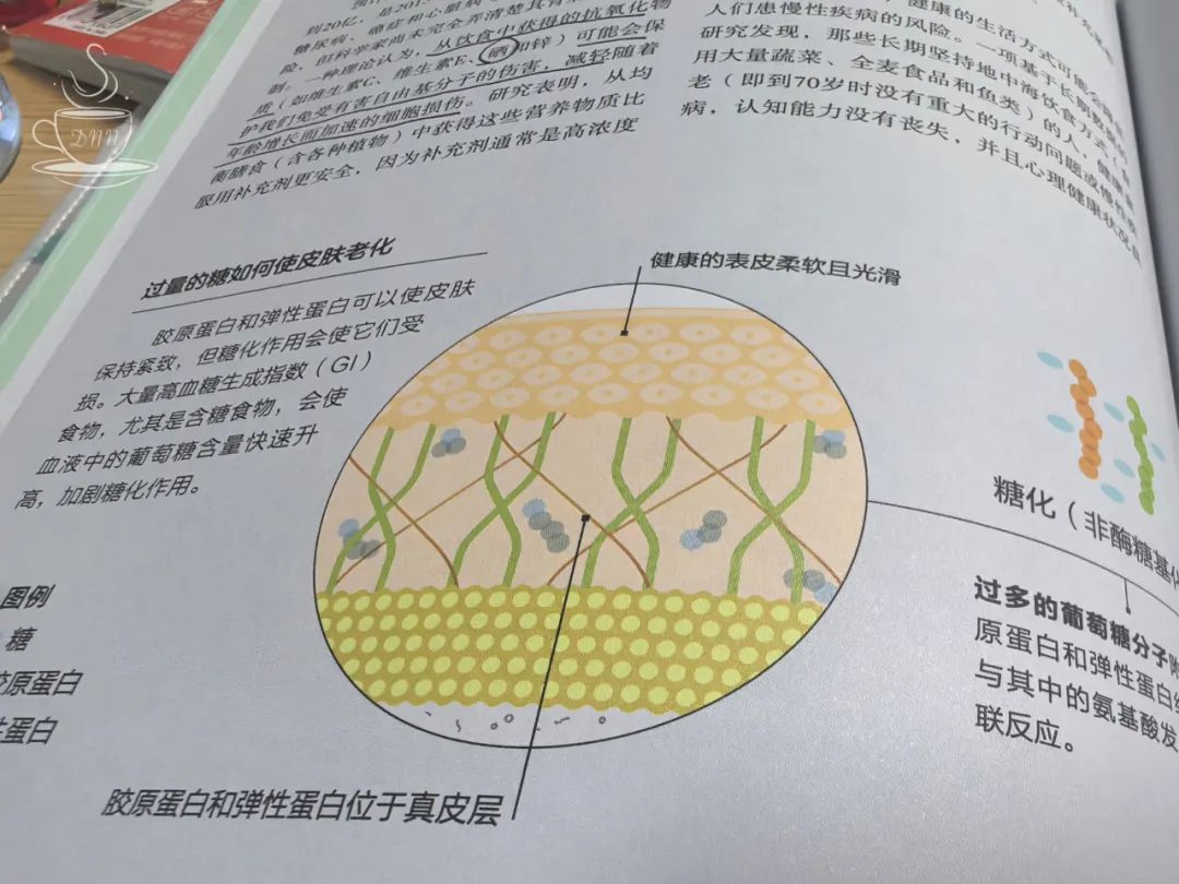 如何给家人补硒（补硒能起到什么作用）-硒宝网