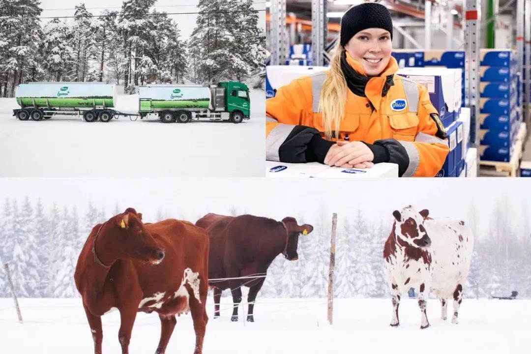 如何给家人补硒（补硒能起到什么作用）-硒宝网